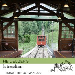 heidelberg-100