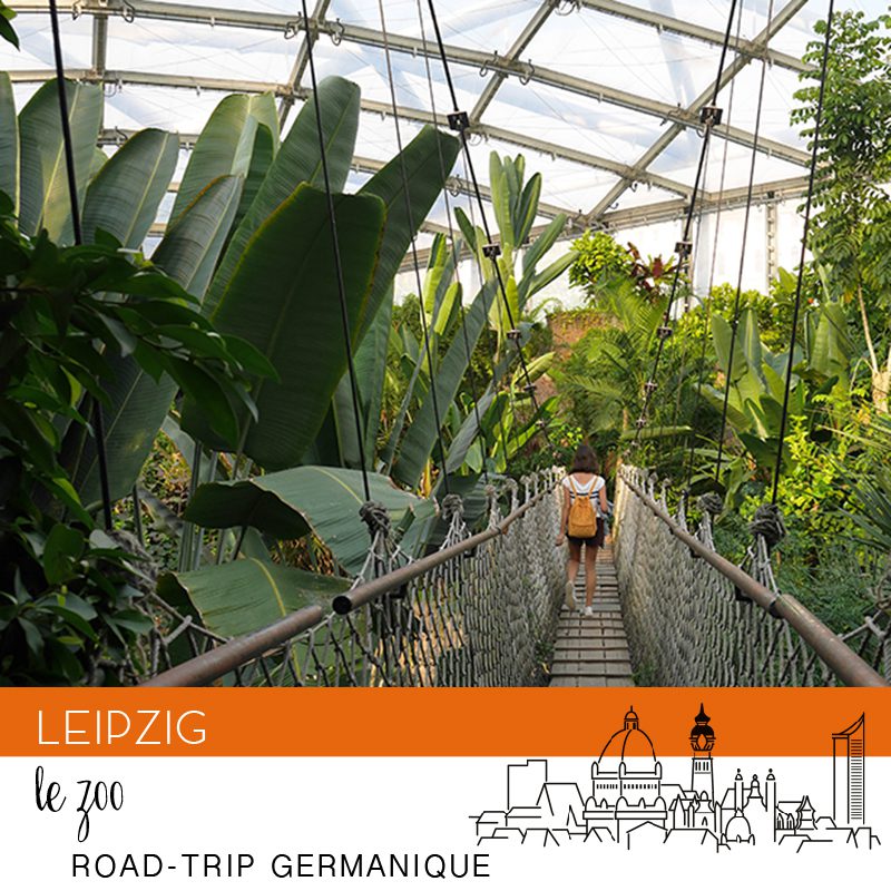 leipzig zoo-100