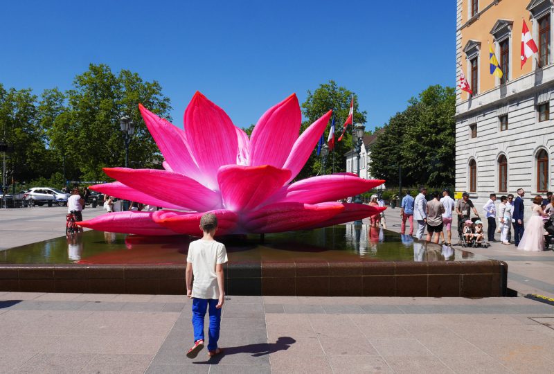 hôtel de ville annecy breathing lotus flower Choi Jeong Hwa art contemporain